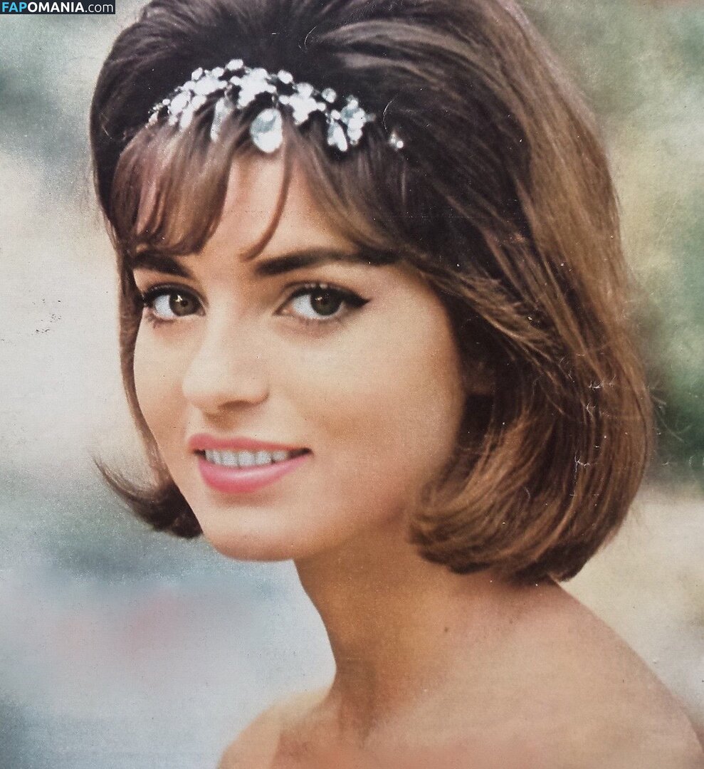 Vintage Starlets Nudo OnlyFans  Foto trapelata #396