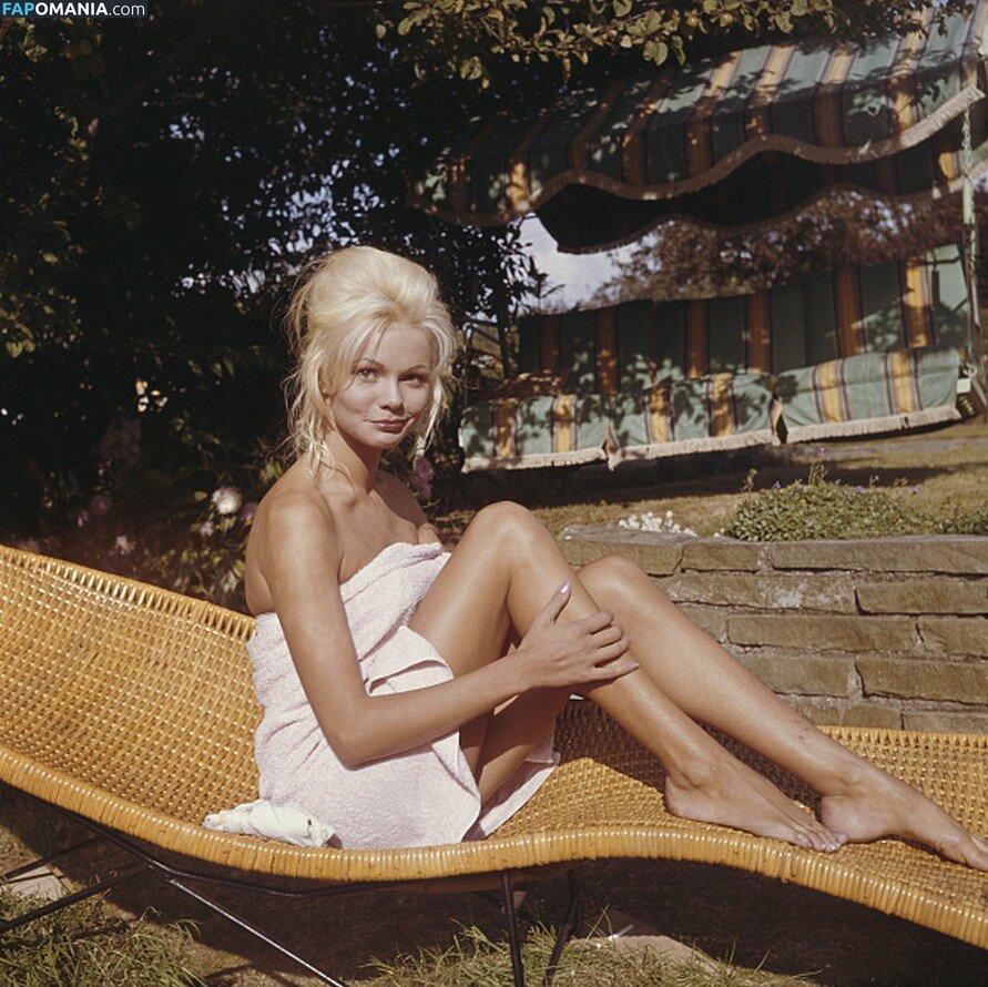 Vintage Starlets Nudo OnlyFans  Foto trapelata #472