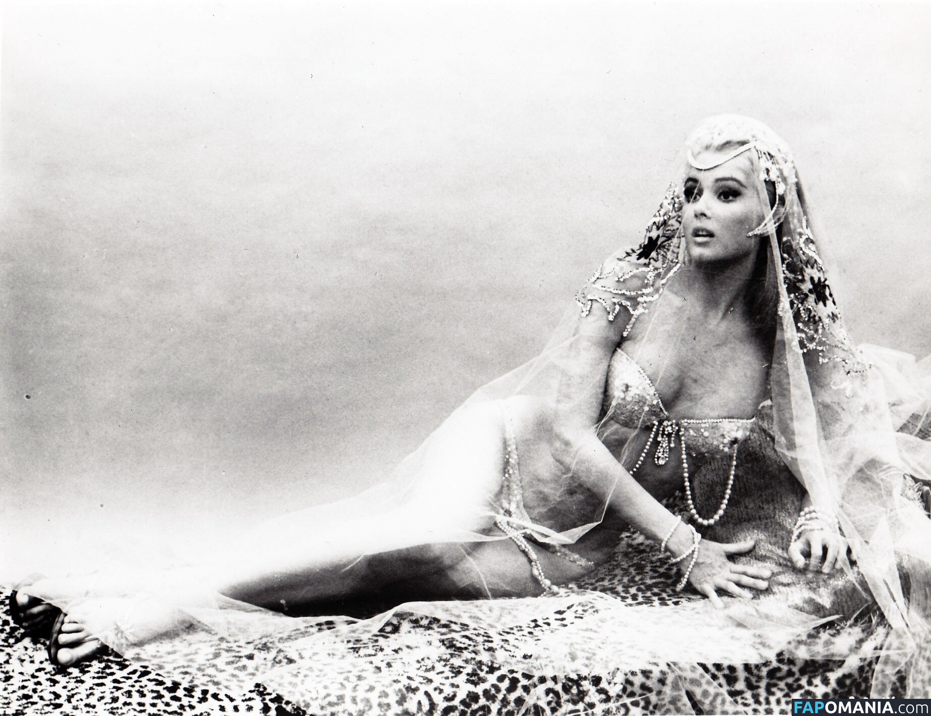 Vintage Starlets Nudo OnlyFans  Foto trapelata #543