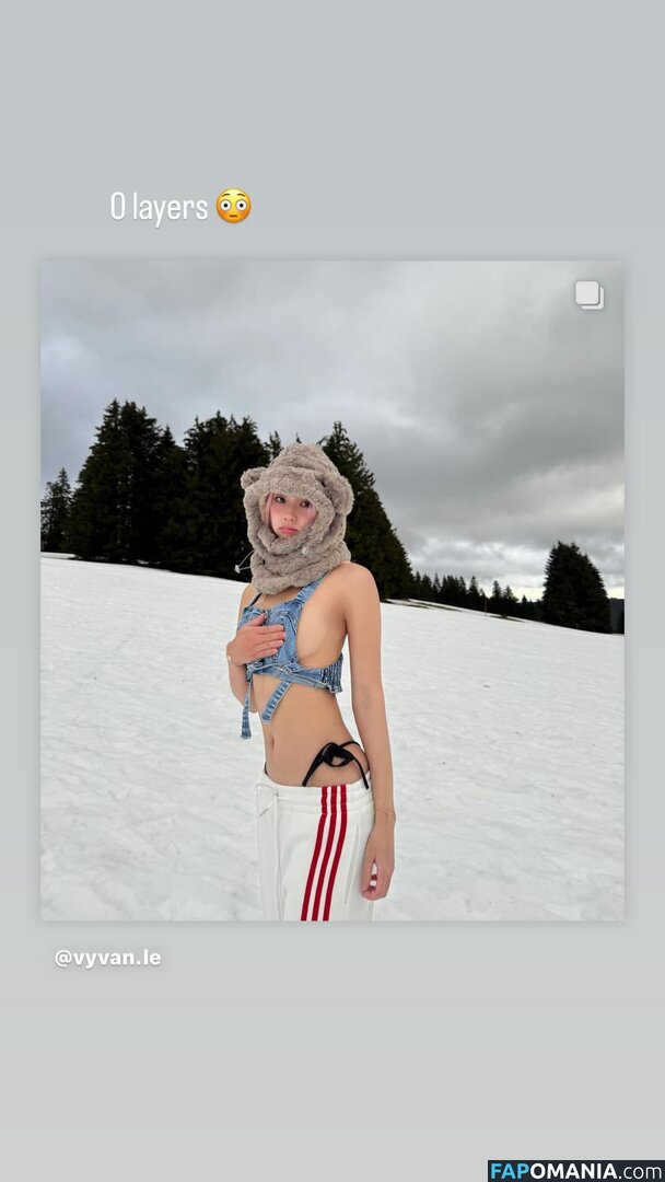 Vyvan Le / Vyvanle / vyvan.le Nudo OnlyFans  Foto trapelata #29