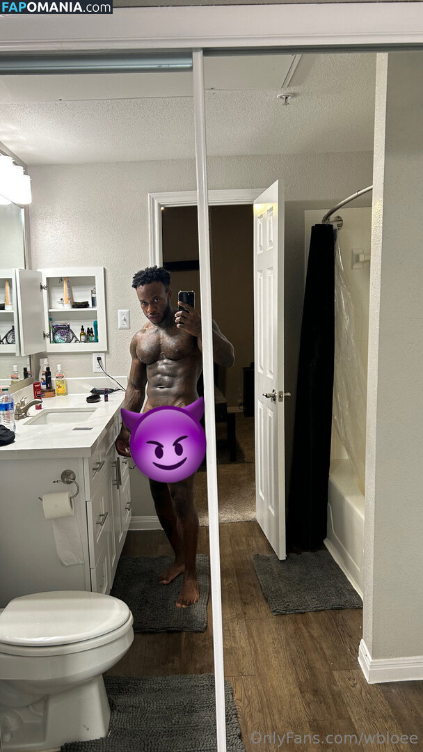 wb_loe / wbloee Nudo OnlyFans  Foto trapelata #3