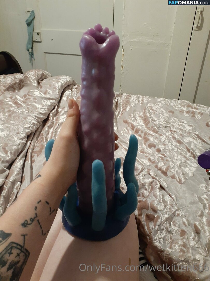 kitty.valentine.92372 / wetkitten666 Nudo OnlyFans  Foto trapelata #13