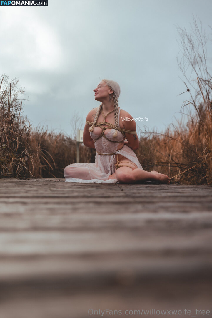 willowxwolfe / willowxwolfe_free Nudo OnlyFans  Foto trapelata #11