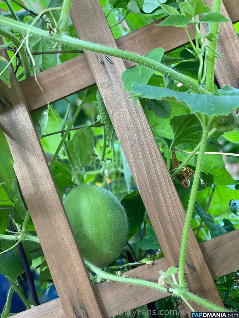 wolfofthewild / wolfofthewildd Nudo OnlyFans  Foto trapelata #8