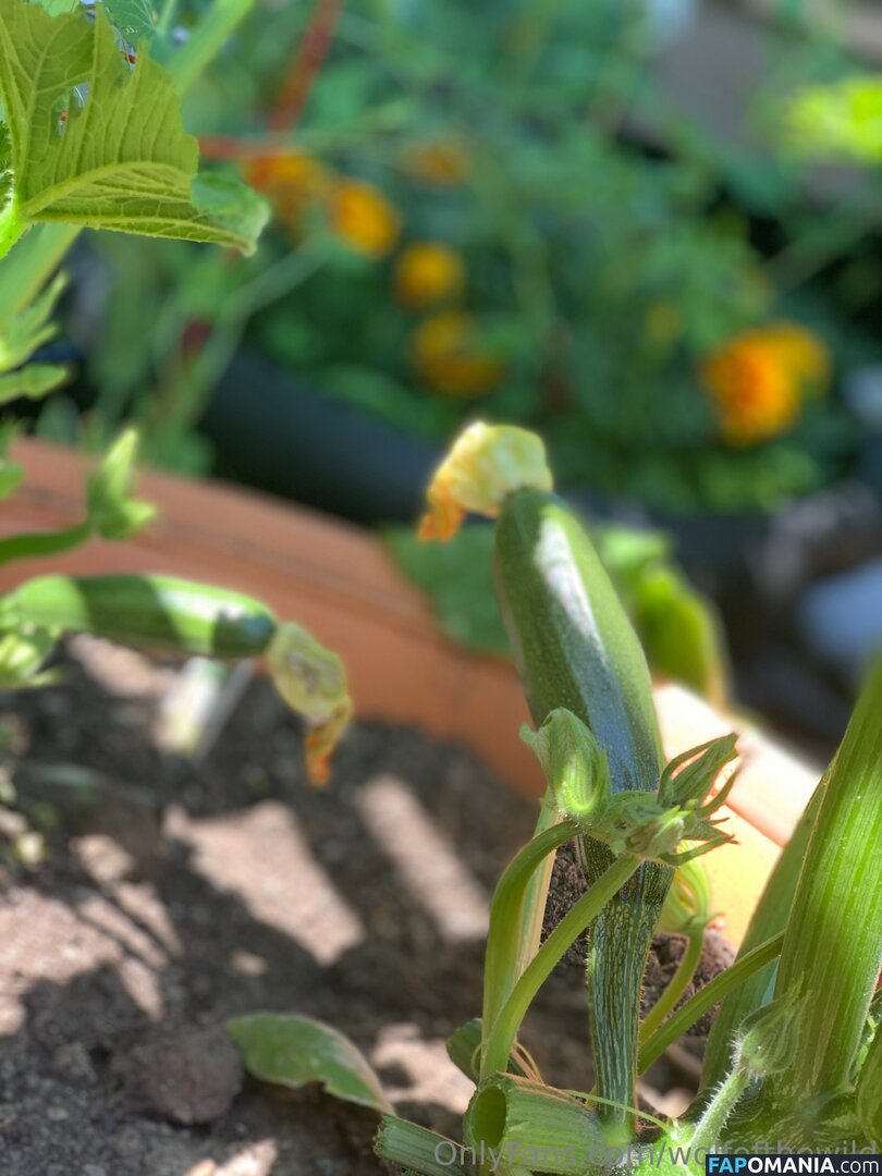 wolfofthewild / wolfofthewildd Nudo OnlyFans  Foto trapelata #13