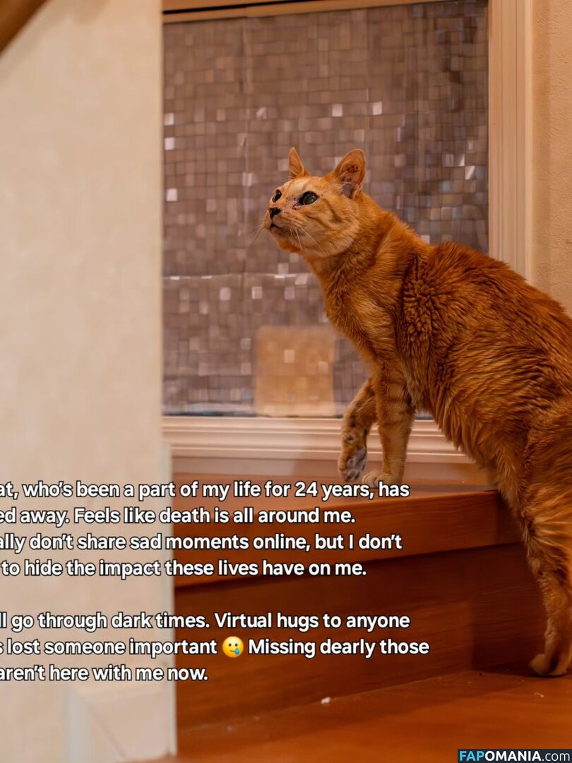 Zumi / zestyzumi Nudo OnlyFans  Foto trapelata #120